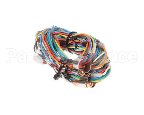 12-2509-0001 Fbd Assembly, Temp Sensor Wire Harness