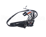 12-3043-03 Scotsman Belly Band