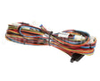12-3116-0083 Fbd Harness Analog, 773, V1
