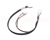 120033 Duke Harness Main Can Vdc Pw