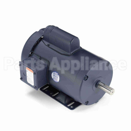 120036 Leeson Motor