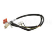 120095 Newco Harness Main Upper