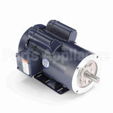 120274 Leeson Motor