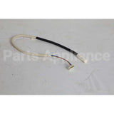 12037440 Bosch Evaporator Temperature Sensor
