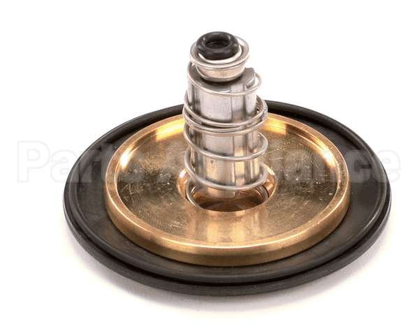 12041 Gaylord 1 Valve Repair Kit