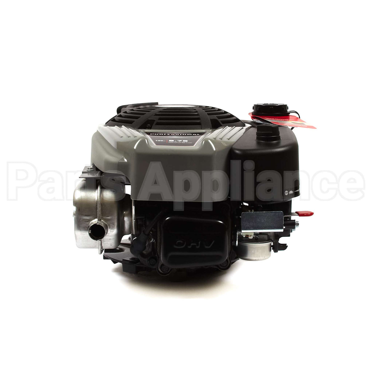 121S02-2025-F1 Briggs & Stratton Engine Packed Single Carton