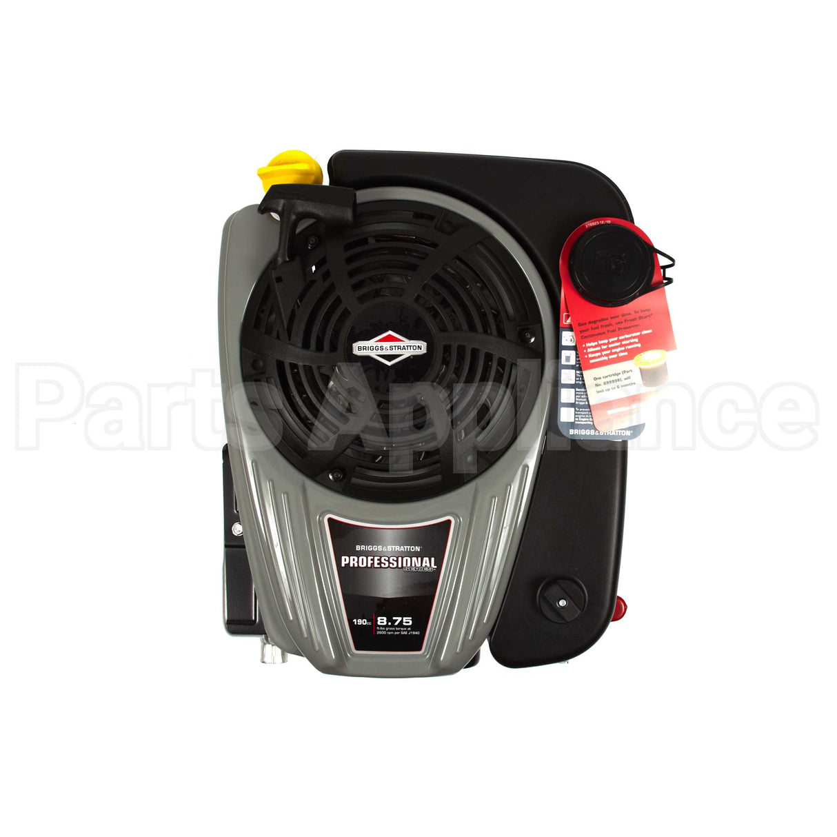 121S02-2025-F1 Briggs & Stratton Engine Packed Single Carton