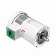 122179 Leeson Motor