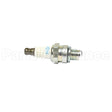 1223 NGK Cmr6A Spark Plug