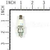 1223 NGK Cmr6A Spark Plug