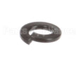 1226 Globe Lockwasher