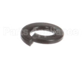 1226 Globe Lockwasher