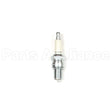 123 Champion Rn5C Sm Eng Spark Plug