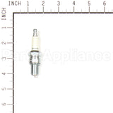 123 Champion Rn5C Sm Eng Spark Plug
