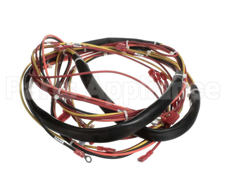 123779 Groen Harness, Wiring-Kettle Control