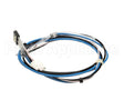 12565.0013 Bunn Triac Assembly40Amp D/S Sh Dbc Ce