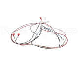 12576.0008 Bunn Wiring Harness, H5 Dgtl Dspl 208V/240V