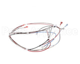 12576.0008 Bunn Wiring Harness, H5 Dgtl Dspl 208V/240V