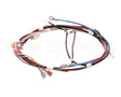 12576.0017 Bunn Wiring Harness, Main H5X Element (Food)