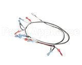 125853 Groen Harness, Power 24 Vac
