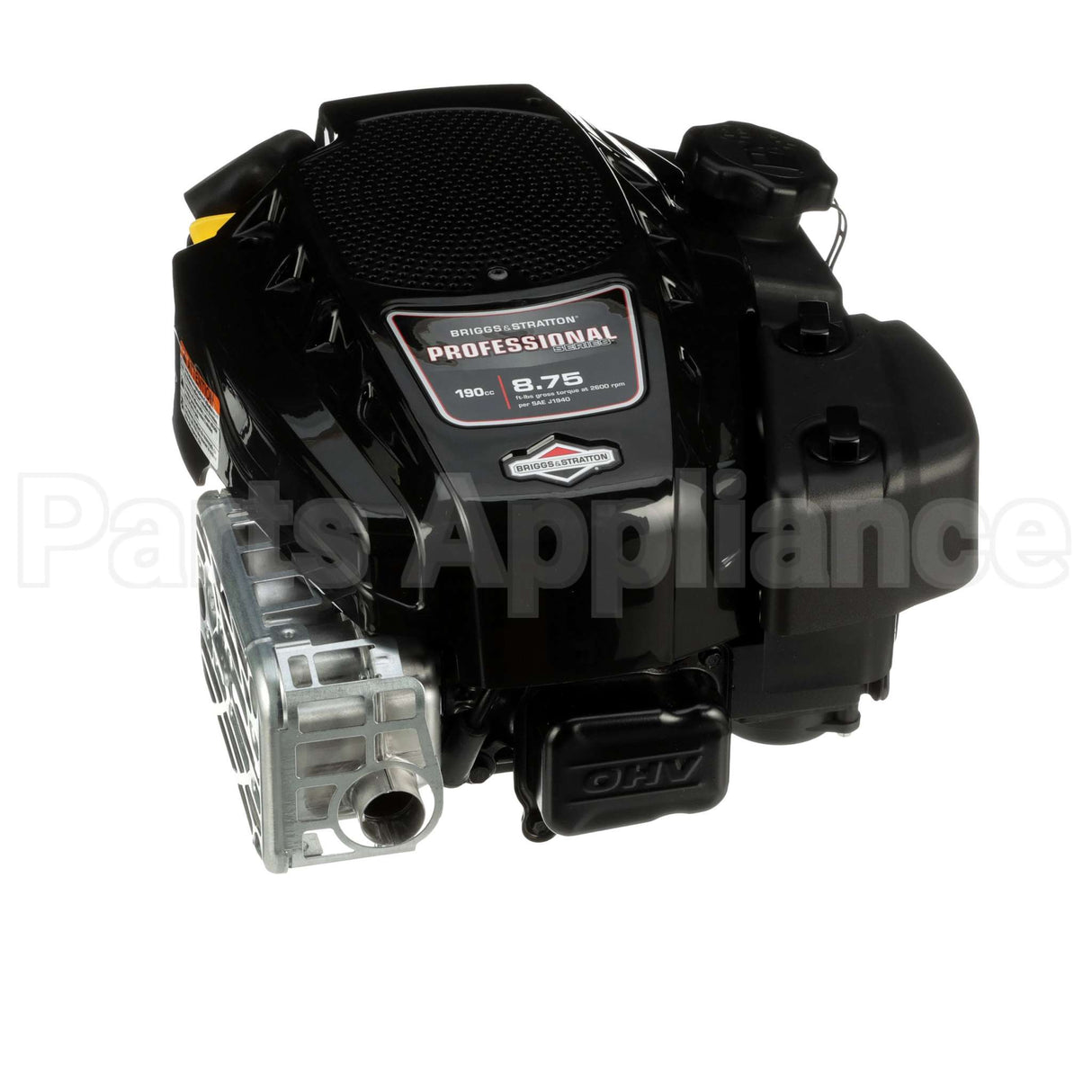 125P02-0012-F1 Briggs & Stratton Engine Packed Single Carton