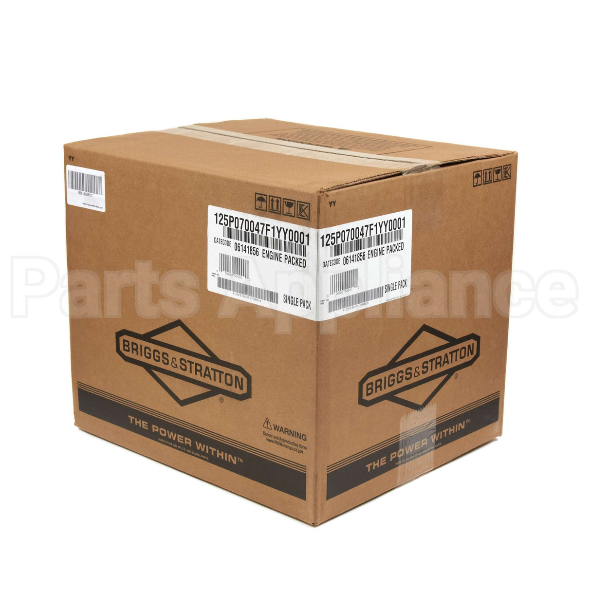 125P07-0047-F1 Briggs & Stratton Engine Packed Single Carton