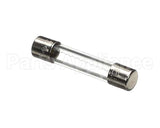 127157 Newco Fuse 5 Amp - 250 V