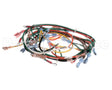 127748 Groen Harness, Wiring, Main, Hfp/2E