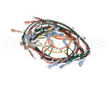 127748 Groen Harness, Wiring, Main, Hfp/2E