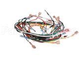 127748 Groen Harness, Wiring, Main, Hfp/2E