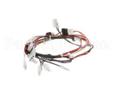 130121 Globe Wiring Harness 4600