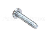 13041507 Amana Menumaster Screw-Tf/Pan Torx