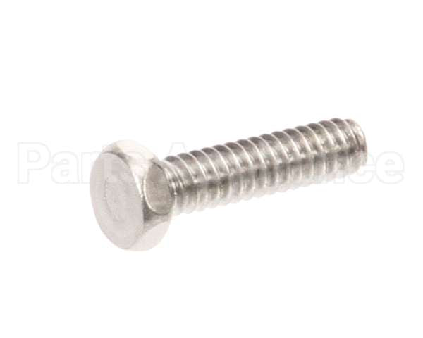 1307 Globe Screw