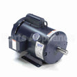 131526 Leeson Motor