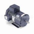 131538 Leeson Motor