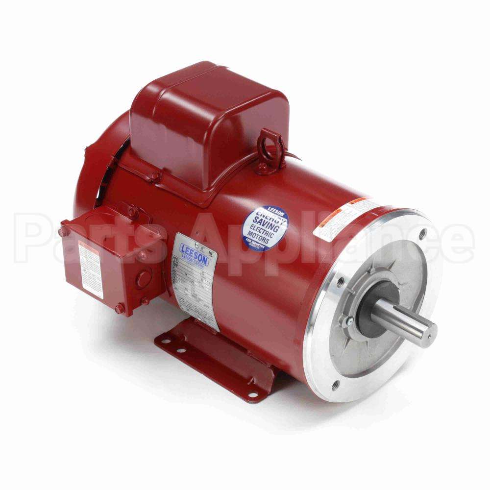 131995 Leeson Motor