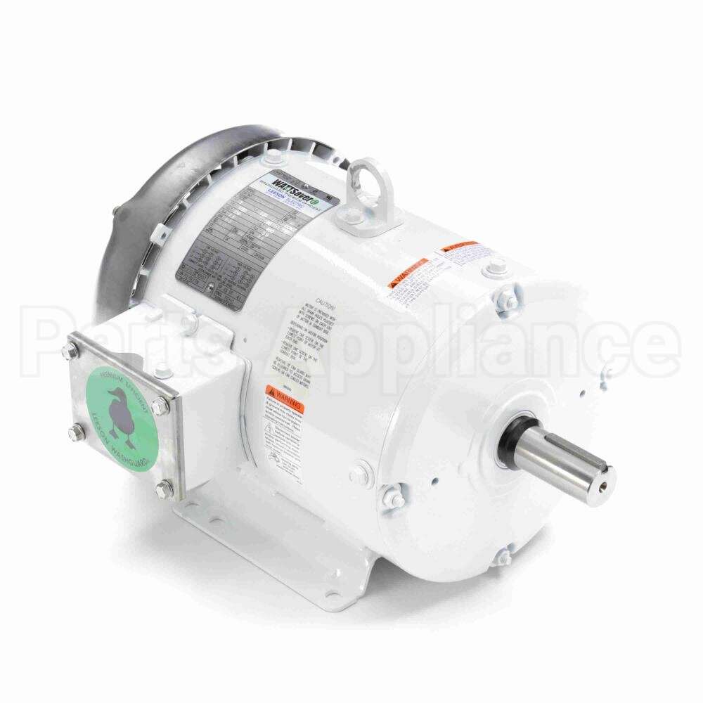 132196 Leeson Motor