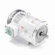 132201 Leeson Motor