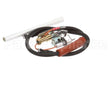 140227 Henny Penny Kit-600 Nat Ssi Pilot Assembly
