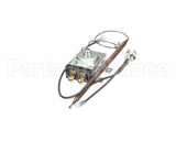 141241 Emberglo Thermal Fuse/Thermostat Kit