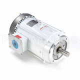 141269 Leeson Motor