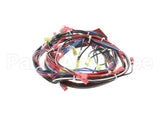 141836 Groen Harness, Control Hy-5G