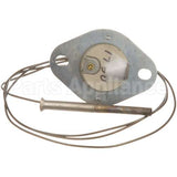 14321 Compatible Hobart Flame Switch