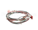 144109 Groen Harness, Door Switch, Smart Steam