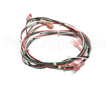 144109 Groen Harness, Door Switch, Smart Steam