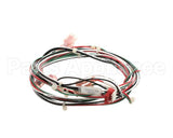 144109 Groen Harness, Door Switch, Smart Steam