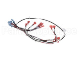 144973 Groen Wire Harness-Electric Tilt, High Voltage
