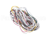 14560P052 Winston Main Wiring Harness