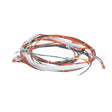 146191 Compatible Groen Wireharness, Control Low Voltage, Gas