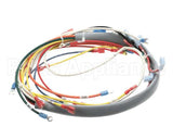 148534 Groen Harness Wire Tdb/6 Kettles